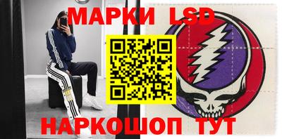 2c-b Кингисепп