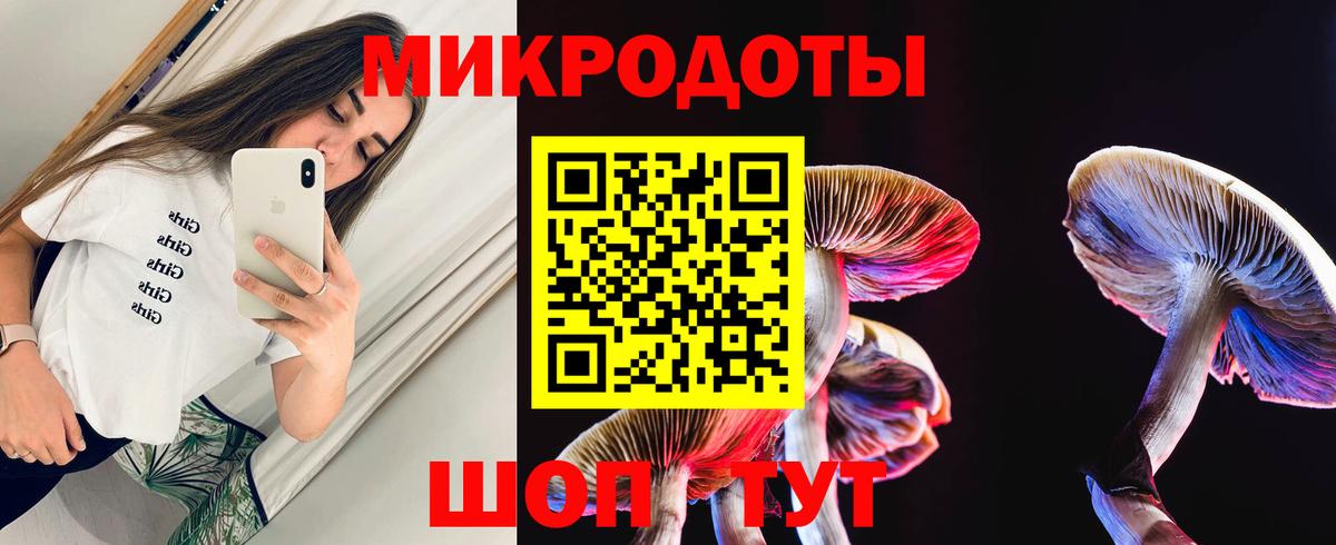 Псилоцибиновые грибы прущие грибы Удомля