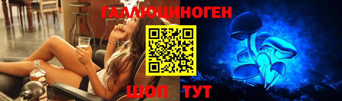 Удомля  Псилоцибиновые грибы Magic Shrooms  Вход с VPN  Галлюциногенные грибы Psilocybe 